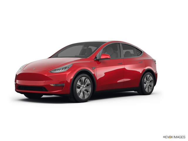 2025 Tesla Model Y Long Range RWD