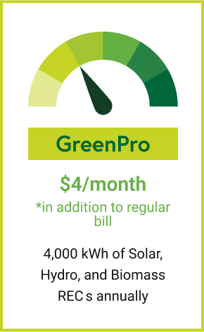 GreenPro Option